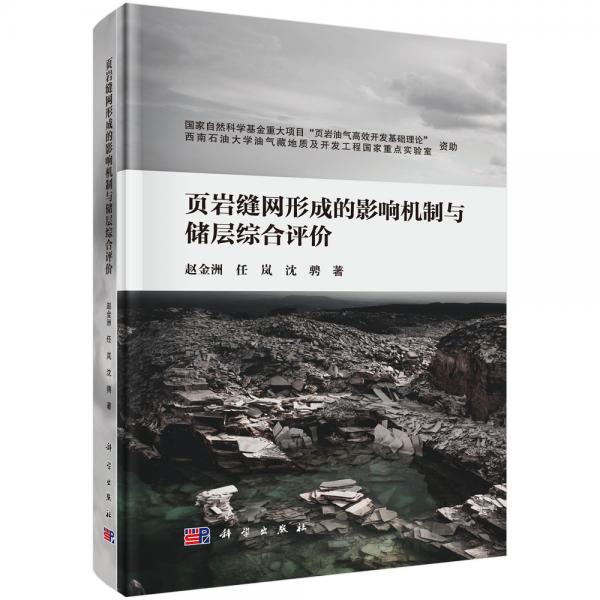 頁(yè)巖縫網(wǎng)形成的影響機(jī)制與儲(chǔ)層綜合評(píng)價(jià)