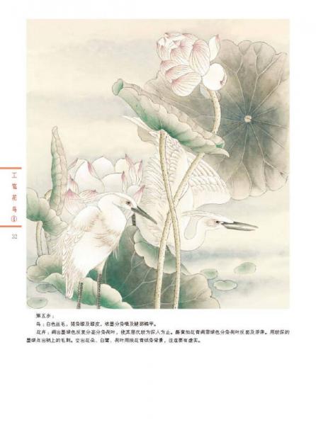 新編養(yǎng)心齋描摹畫譜·工筆花鳥1