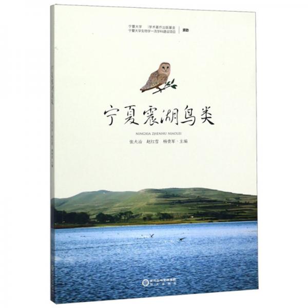寧夏震湖鳥類