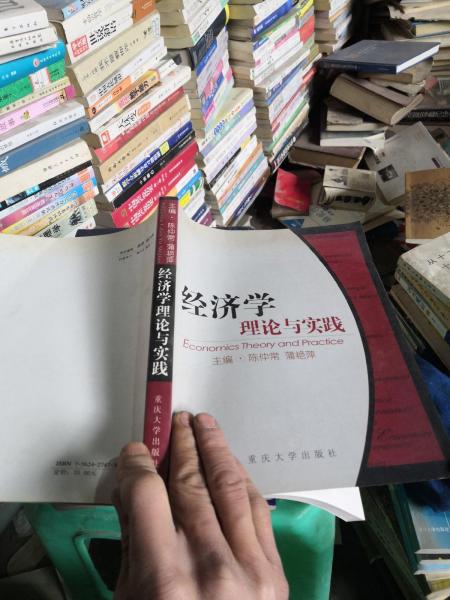 經(jīng)濟學(xué)理論與實踐