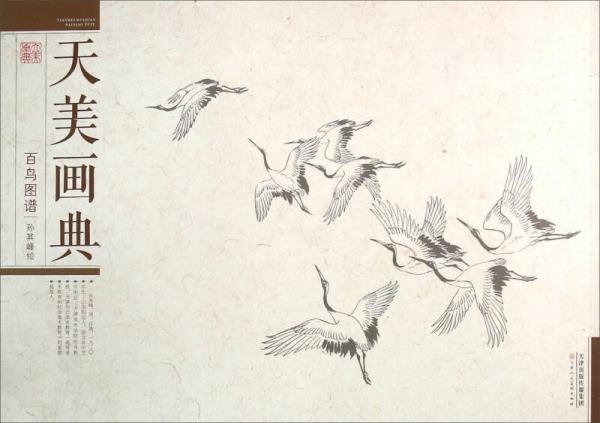 天美畫典：百鳥圖譜