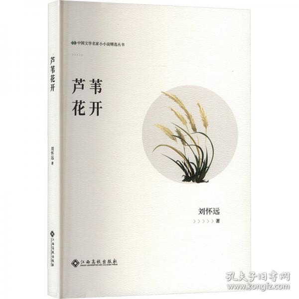 芦苇花开