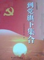 到黨旗下集合——大學(xué)生黨課教程