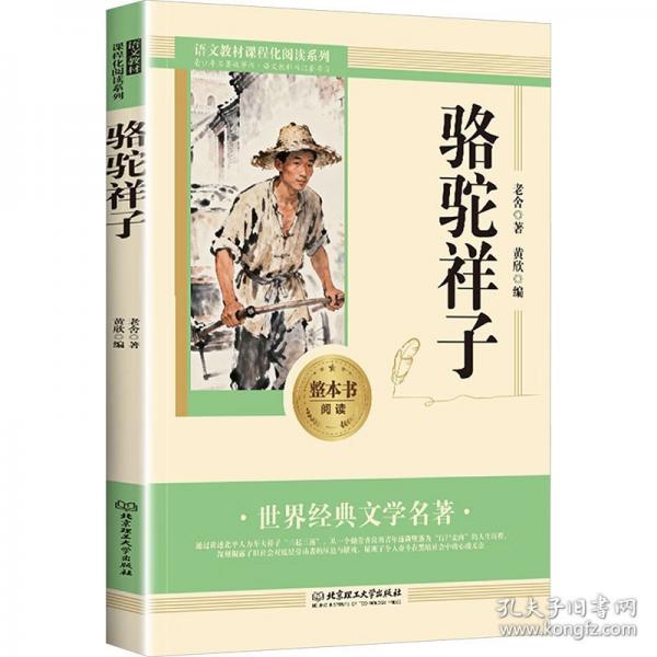 必读经典-骆驼祥子课外阅读书籍 外国小说世界经典文学名著畅销书籍