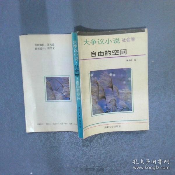 大爭(zhēng)議小說(shuō).社會(huì)卷.自由的空間