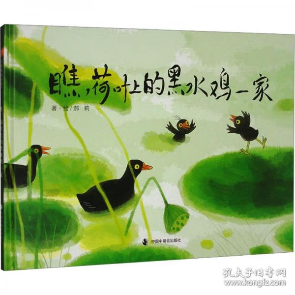 瞧,荷葉上的黑水雞一家