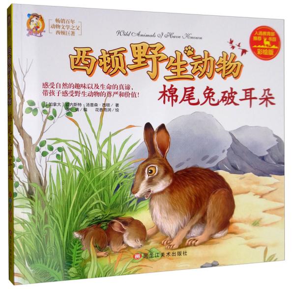 棉尾兔破耳朵（彩绘版）/西顿野生动物