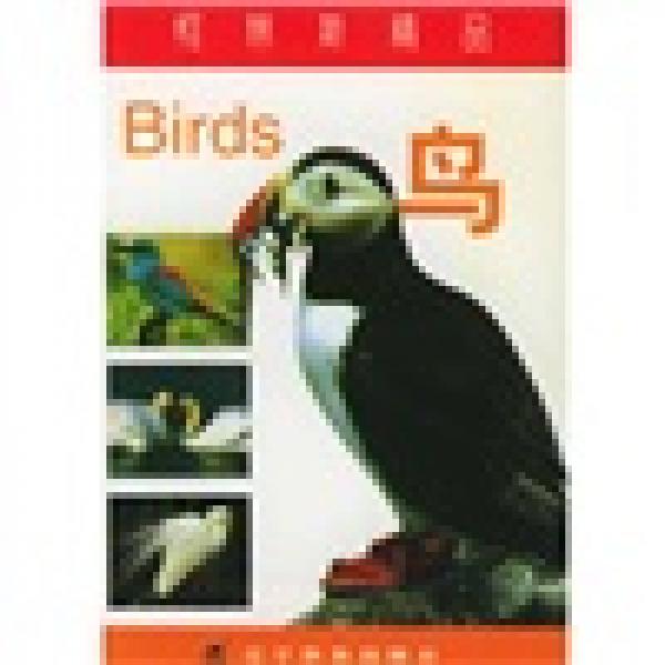 柯林斯精品：鳥(niǎo)