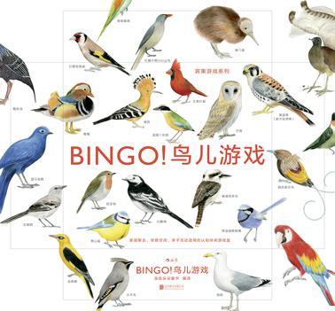 BINGO！鸟儿游戏