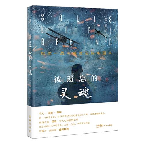 被遺忘的靈魂 （第一次世界大戰(zhàn)，14萬中國勞工遠(yuǎn)赴異國出生入死，卻被選擇性遺忘）