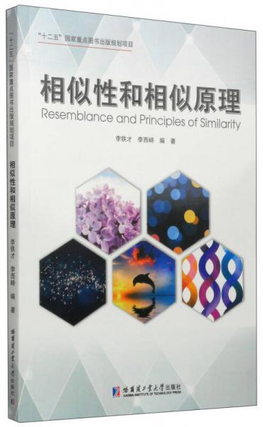 相似性和相似原理