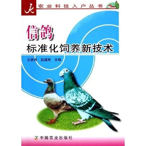 信鴿標(biāo)準(zhǔn)化飼養(yǎng)新技術(shù)/農(nóng)業(yè)科技入戶叢書