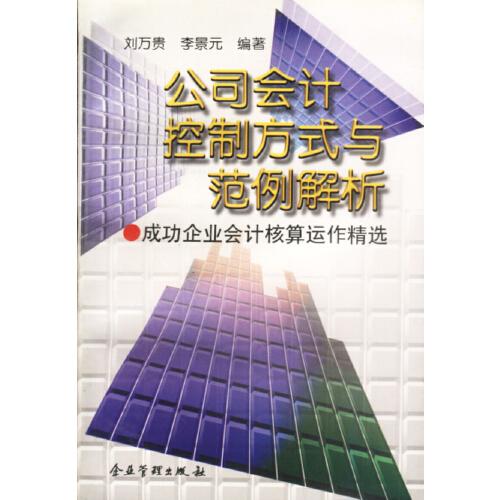 公司會(huì)計(jì)控制方式與范例解析:成功企業(yè)會(huì)計(jì)核算運(yùn)作精選