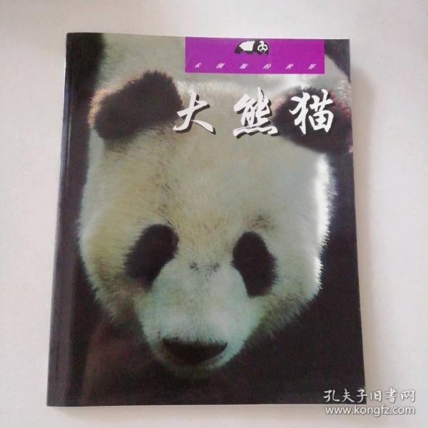 大熊貓