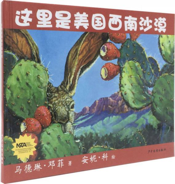 生命之網(wǎng)-這里是美國西南沙漠