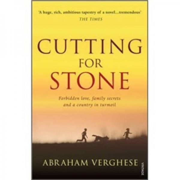 Cutting for Stone