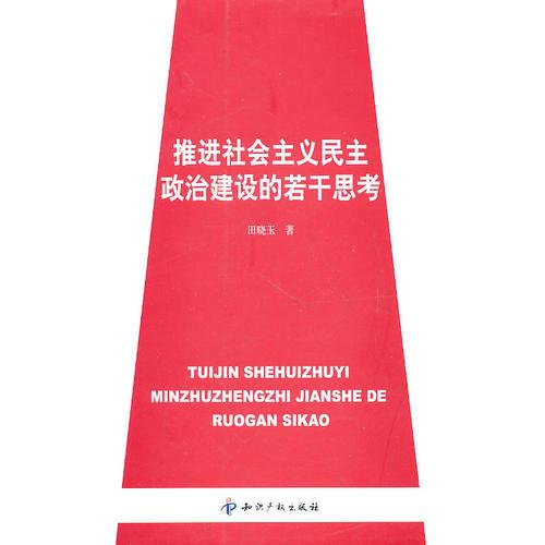 推進(jìn)社會(huì)主義民主政治建設(shè)的若干思考