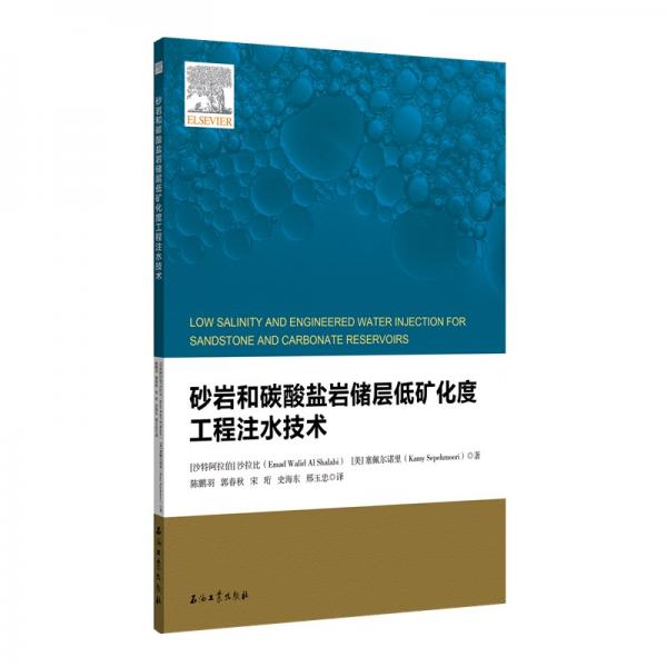 砂巖和碳酸鹽巖儲(chǔ)層低礦化度工程注水技術(shù)
