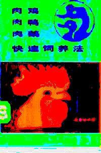 肉雞肉鴨肉鵝快速飼養(yǎng)法