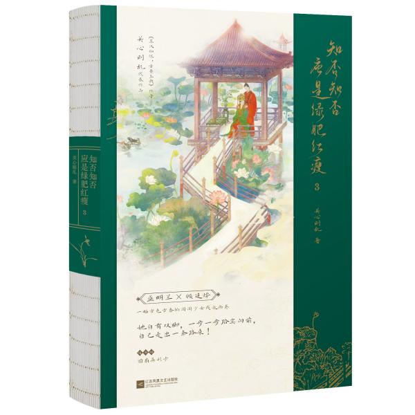 知否知否應(yīng)是綠肥紅瘦 3 關(guān)心則亂 著