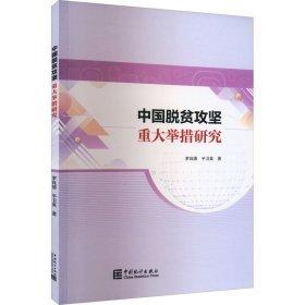 中國(guó)脫貧攻堅(jiān)重大舉措研究