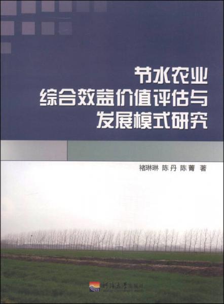 節(jié)水農(nóng)業(yè)綜合效益價(jià)值評(píng)估與發(fā)展模式研究