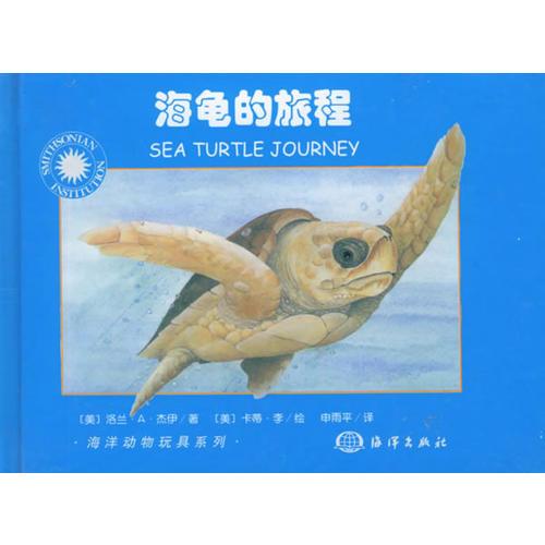 海龟的旅程/海洋动物玩具系列