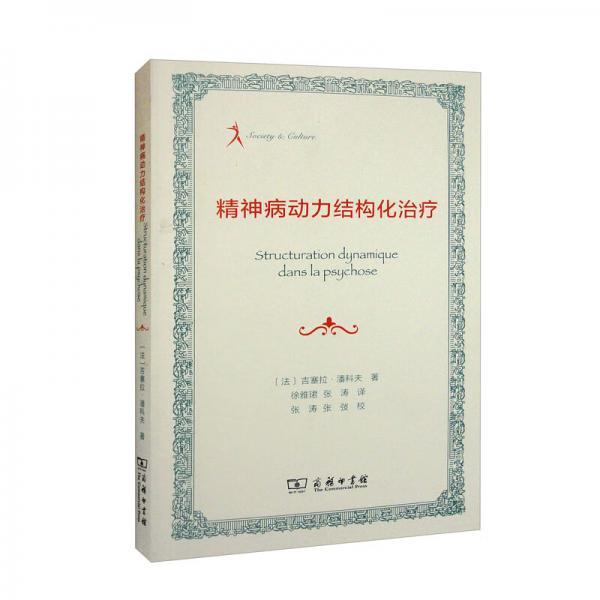 精神病动力结构化治疗/法国人文社会译丛