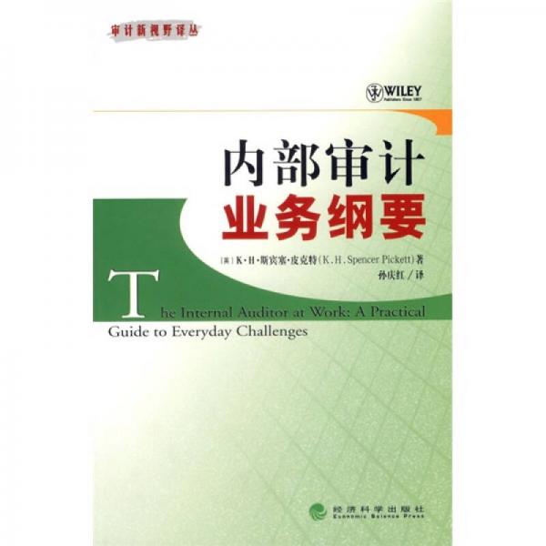 內(nèi)部審計(jì)業(yè)務(wù)綱要