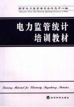 電力監(jiān)管統(tǒng)計(jì)培訓(xùn)教材