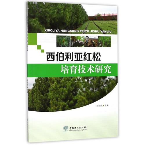 西伯利亞紅松培育技術(shù)研究