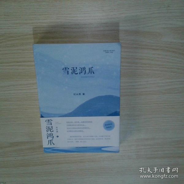 雪泥鴻爪