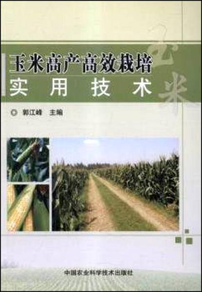 玉米高產(chǎn)高效栽培實(shí)用技術(shù)