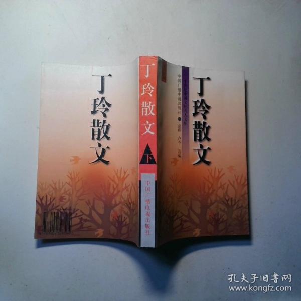 丁玲散文(上下)
