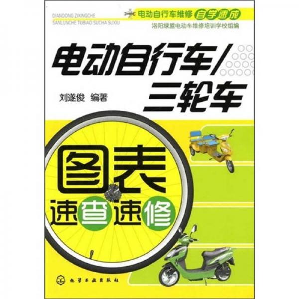 電動自行車維修自學(xué)速成：電動自行車/三輪車圖表速查速修