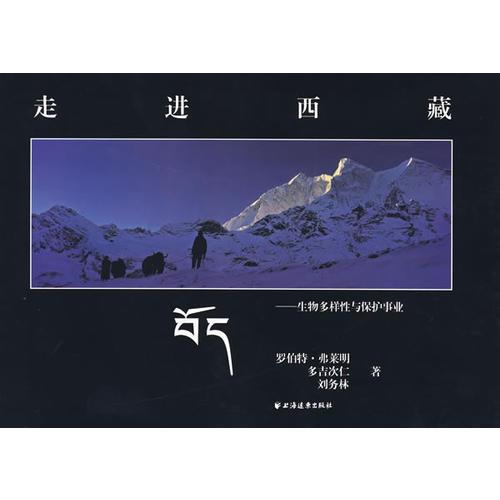 走進(jìn)西藏