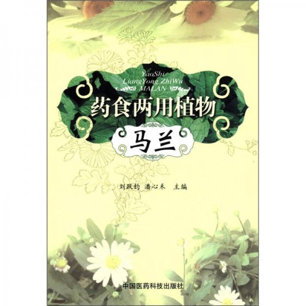 藥食兩用植物：馬蘭