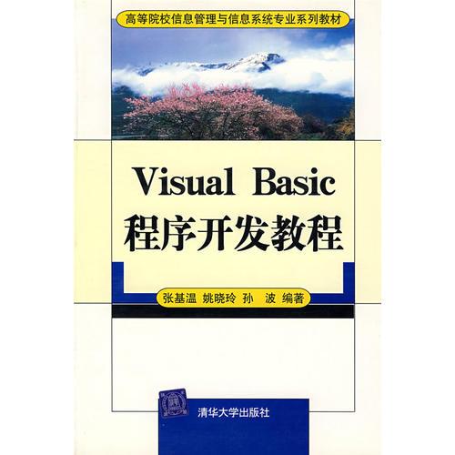 Visual Basic程序开发教程