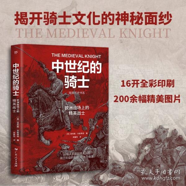 暗黑歷史書系·中世紀的騎士