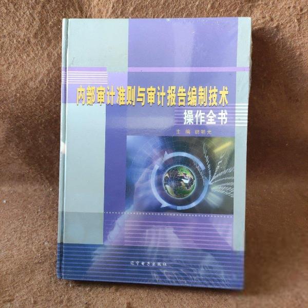 內(nèi)部審計準則與審計報告編制技術操作全書
