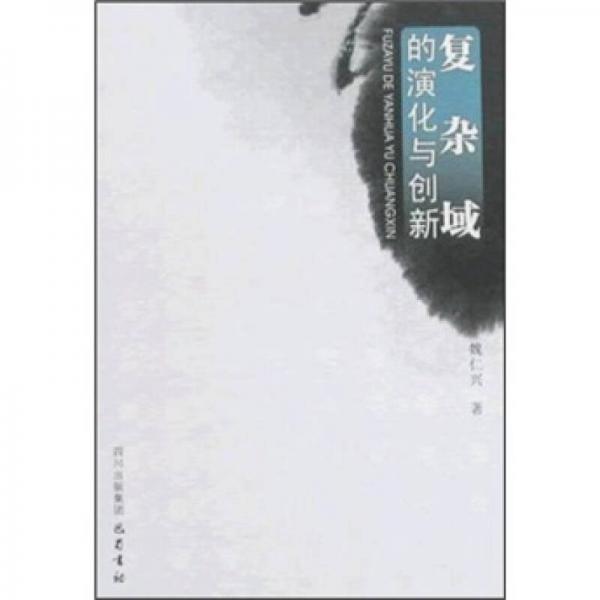 復雜域的深化與創(chuàng)新