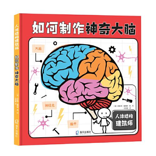 人體結(jié)構(gòu)建筑師：如何制作神奇大腦