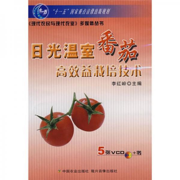 日光温室番茄高效益栽培技术
