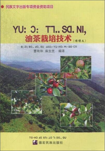 油茶栽培技術(shù):[傈僳文]