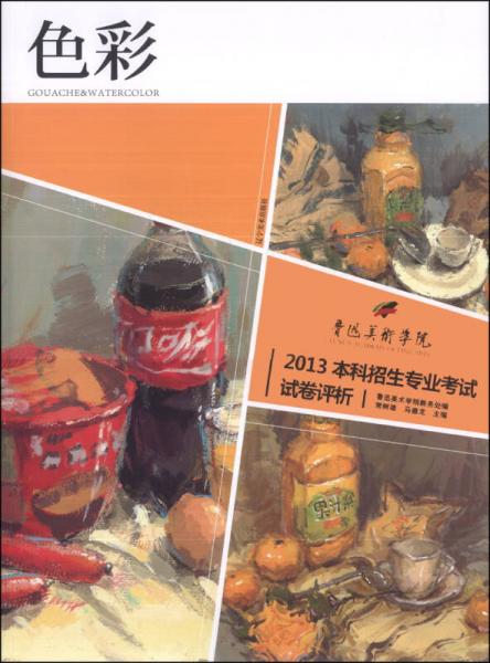 魯迅美術(shù)學(xué)院·2013本科招生專業(yè)考試試卷評析：色彩
