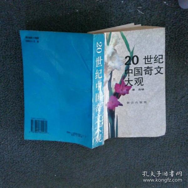 20世紀(jì)中國(guó)奇文大觀