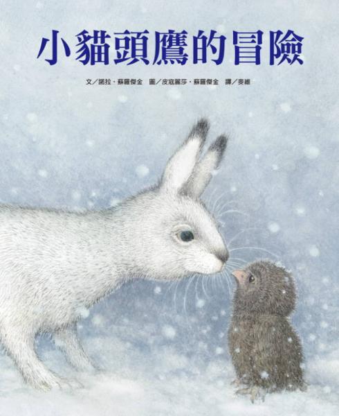 小貓頭鷹的冒險(xiǎn)