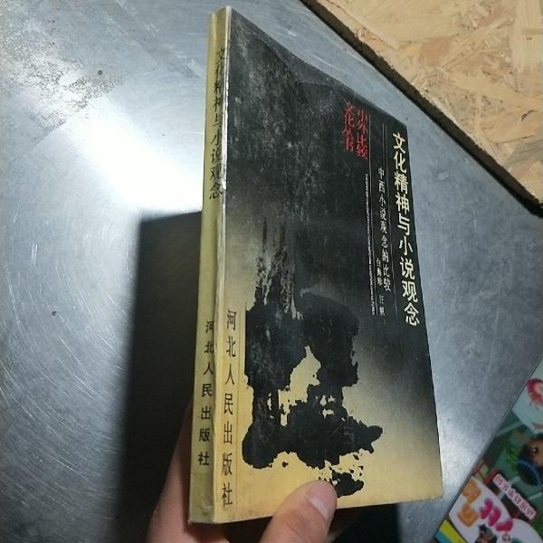 文化精神與小說觀念:中西小說觀念的比較