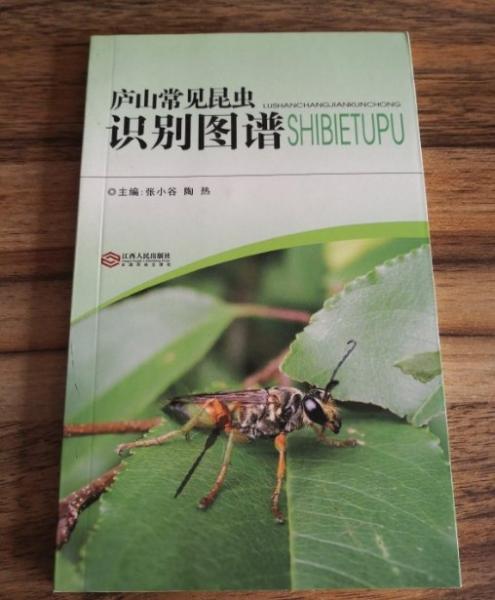 廬山常見昆蟲識別圖譜