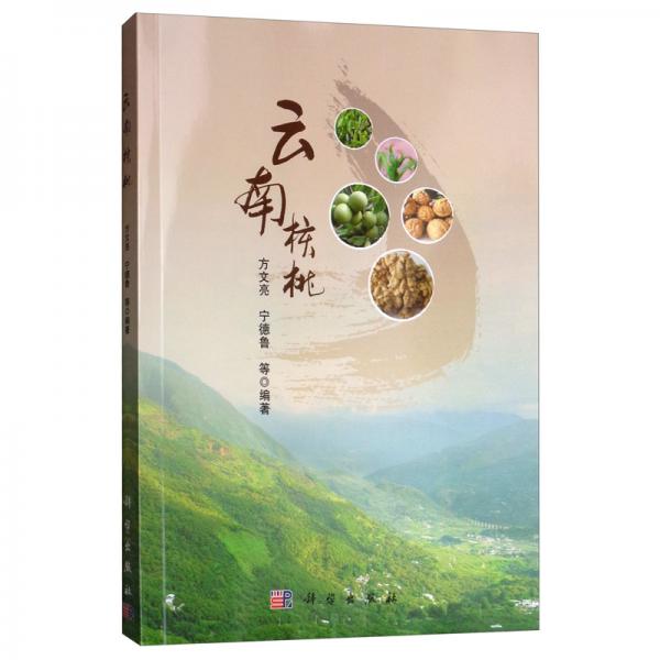 云南核桃